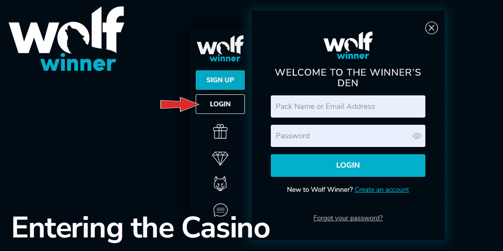 A Guide to Disputes and Email Escalation at Wolf Winner Casino