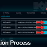 A Guide to Disputes and Email Escalation at Wolf Winner Casino